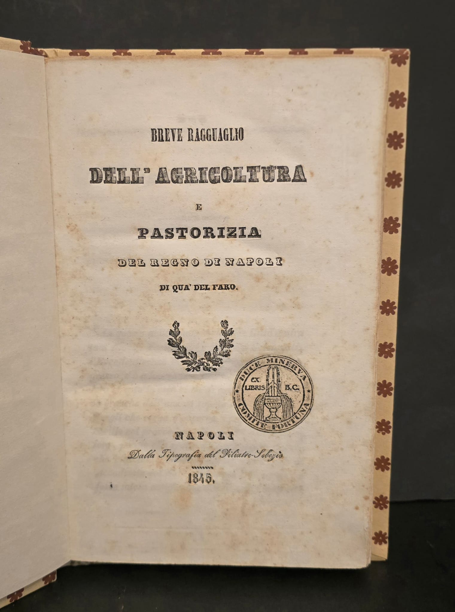 Breve, ragguaglio dell’agricoltura e pastorizia del Regno di Napoli di …