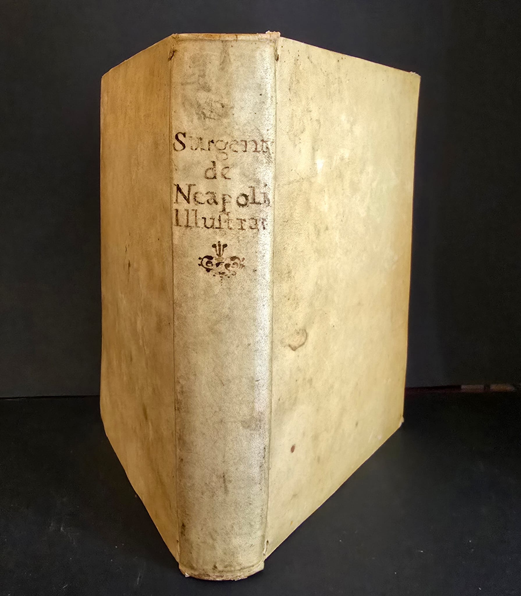 De Neapoli illustrata. Liber unicus cum adnotationibus Mutii fratis.