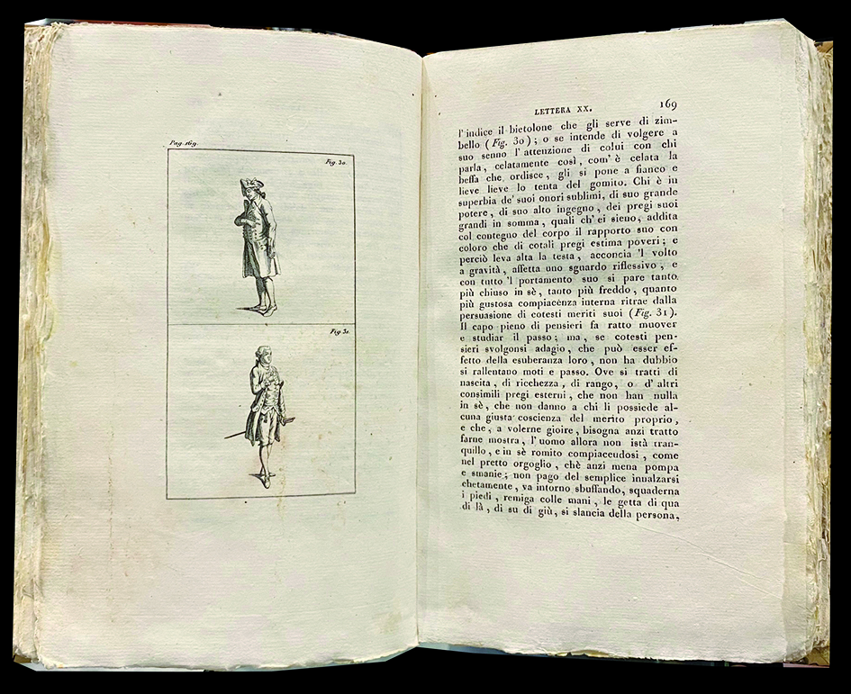 Lettere intorno alla Mimica.