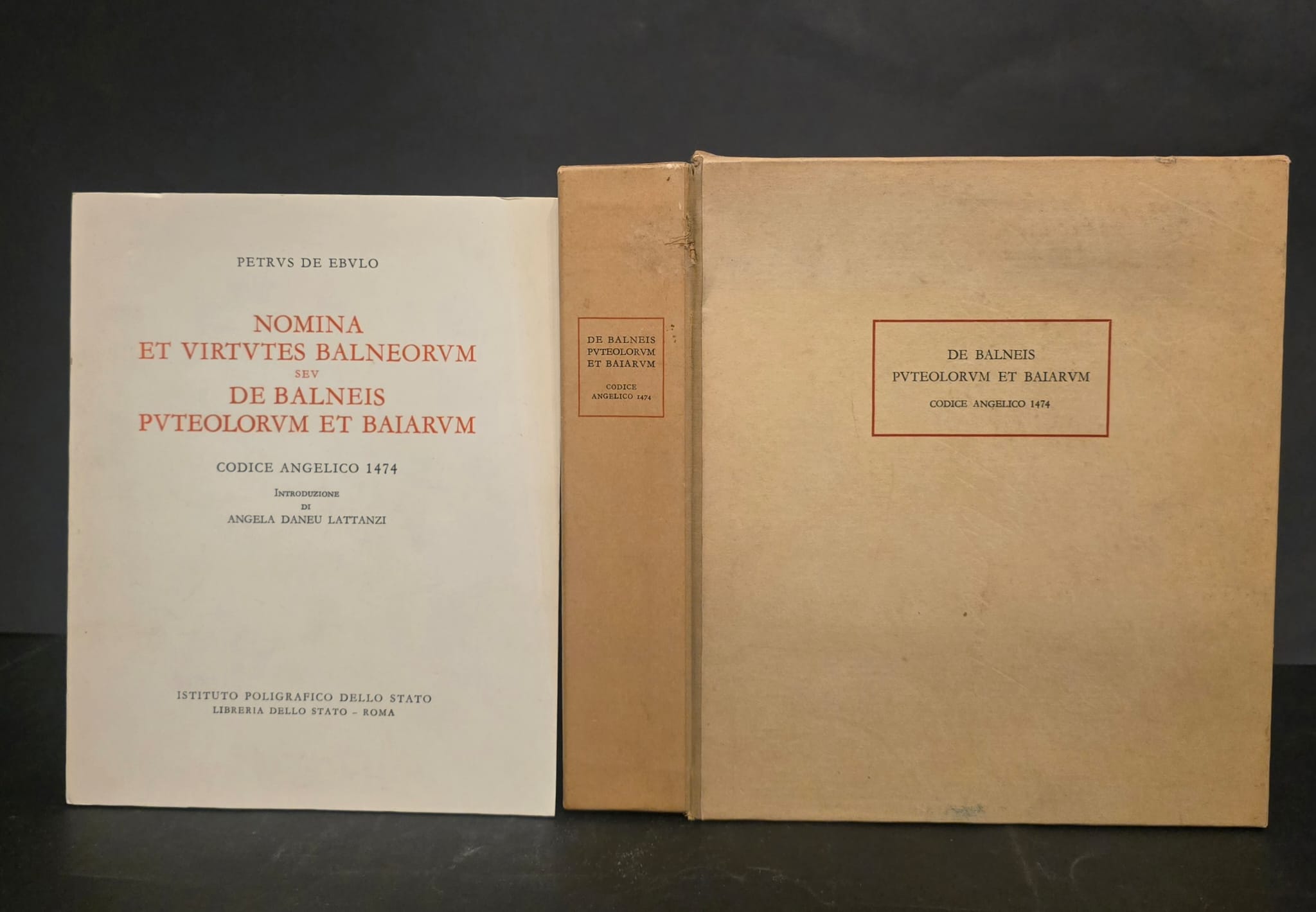 Nomina et virtus seu De Balneis Puteolorum et Baiarum. Codice …