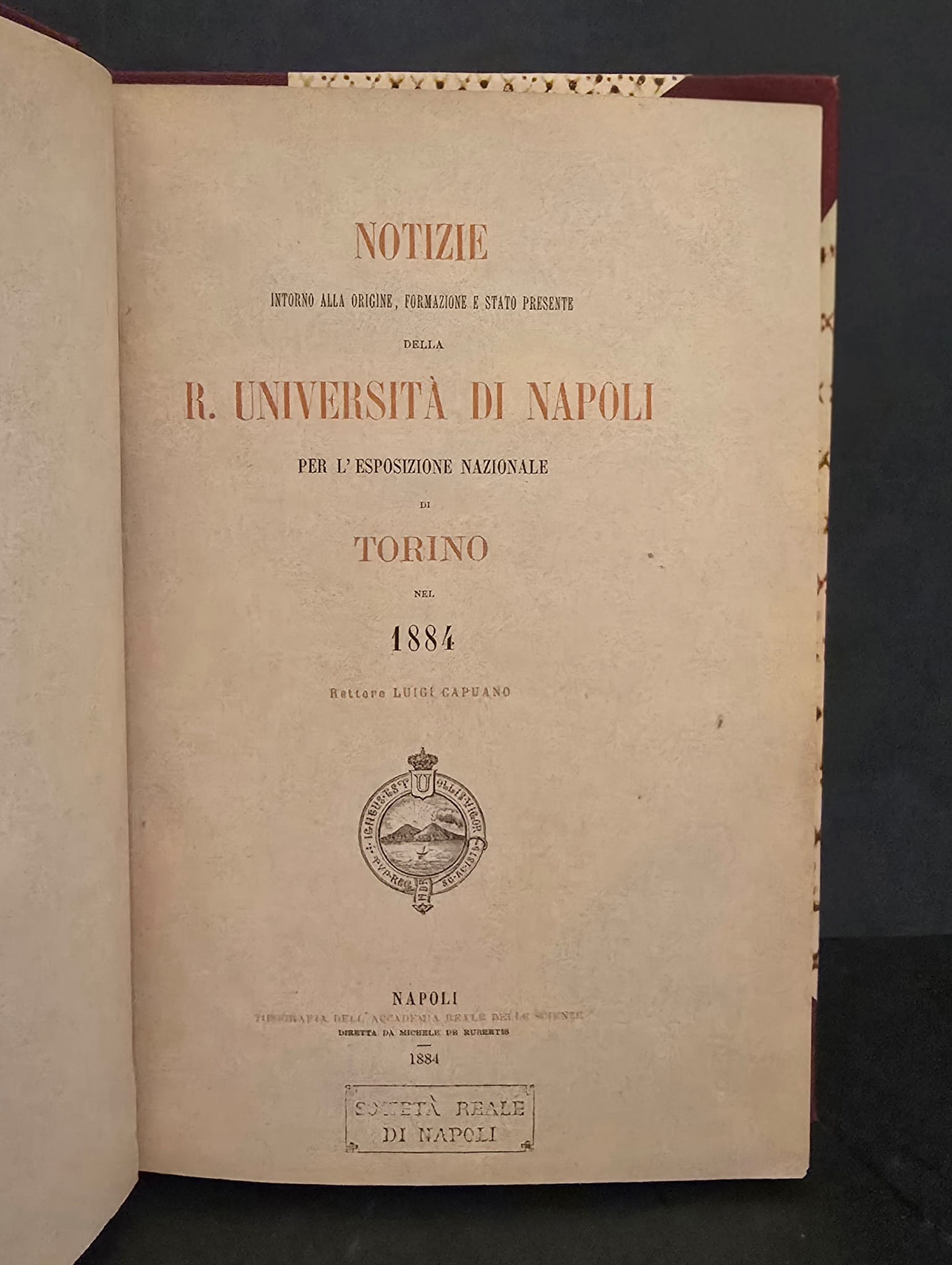 Notizie intorno alla origine, formazione e stato presente della R. …