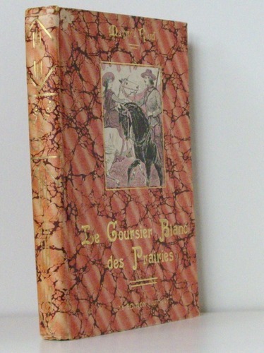 Le Coursier Blanc des Prairies mexicaines.