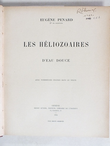 Les héliozoaires d'eau douce.