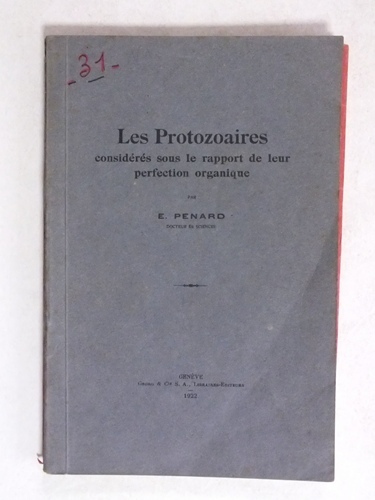 Les Protozoaires considérés sous le rapport de leur perfection organique.