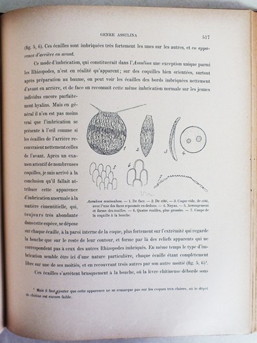 Faune rhizopodique du Bassin du Léman.