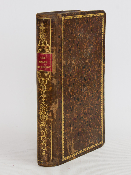 Une Halte au désert. Roman Historique.
