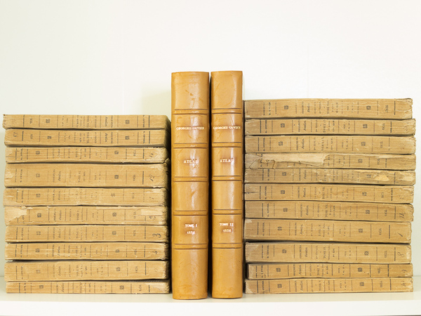 Recherches sur les Ossemens Fossiles, où l'on rétablit les Caractères …