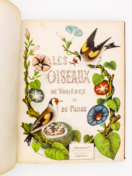 Les Oiseaux de Volières et de Parcs avec planches coloriées …