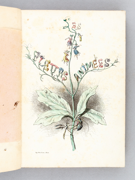 Les Fleurs Animées (2 Tomes - Complet)