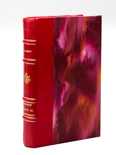 Dynamique concrète du développement