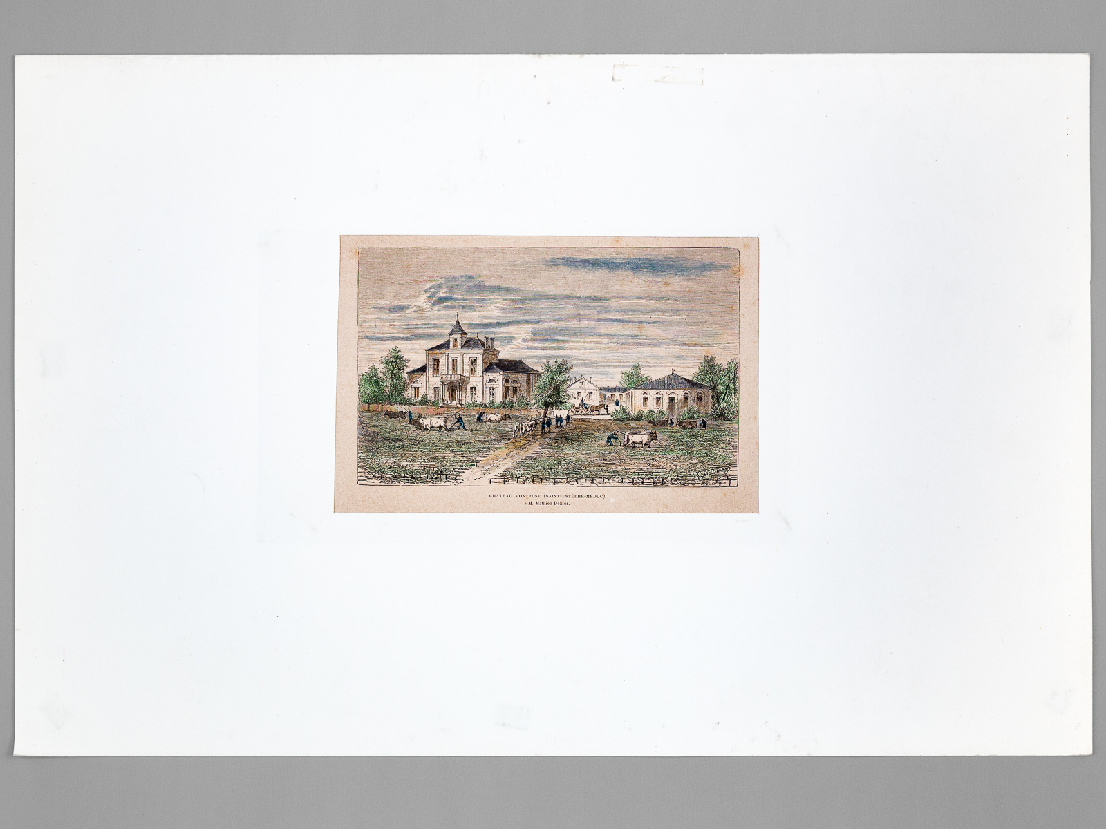Château Montrose (Saint-Estèphe-Médoc) à M. Matthieu Dollfus [ Gravure originale …