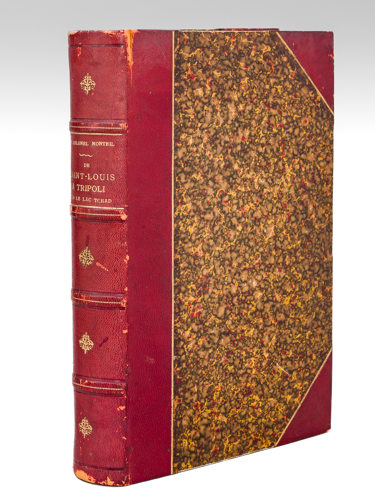 De Saint-Louis à Tripoli par le Lac Tchad. Voyage au …