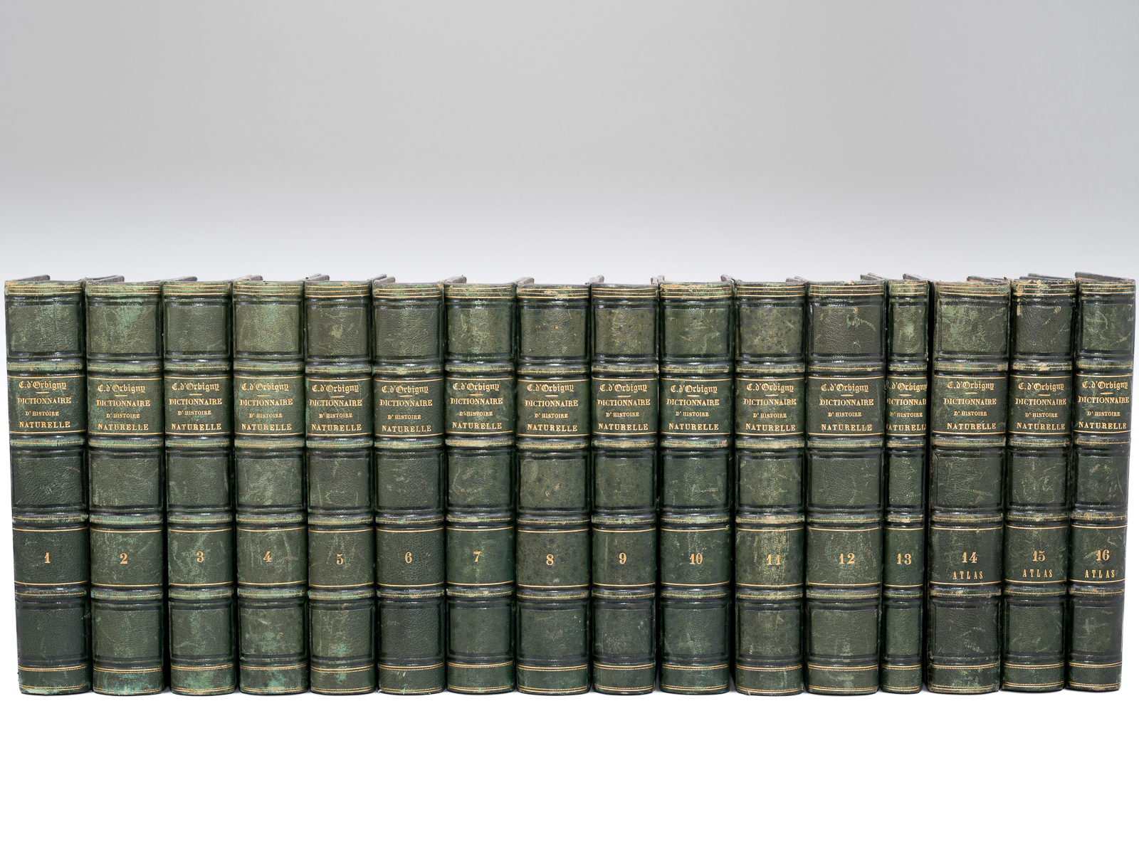 Dictionnaire Universel d'Histoire Naturelle (13 Tomes et 3 Volumes d'Atlas …