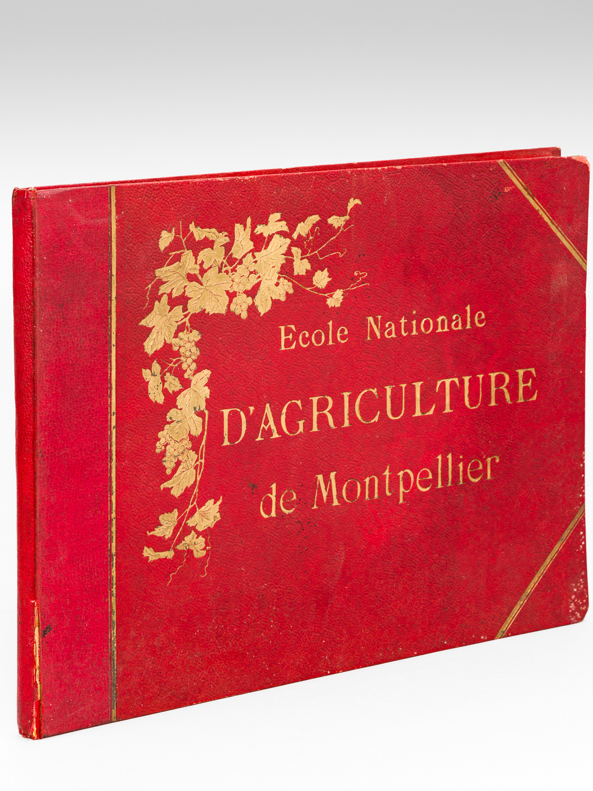 Ecole Nationale d'Agriculture de Montpellier