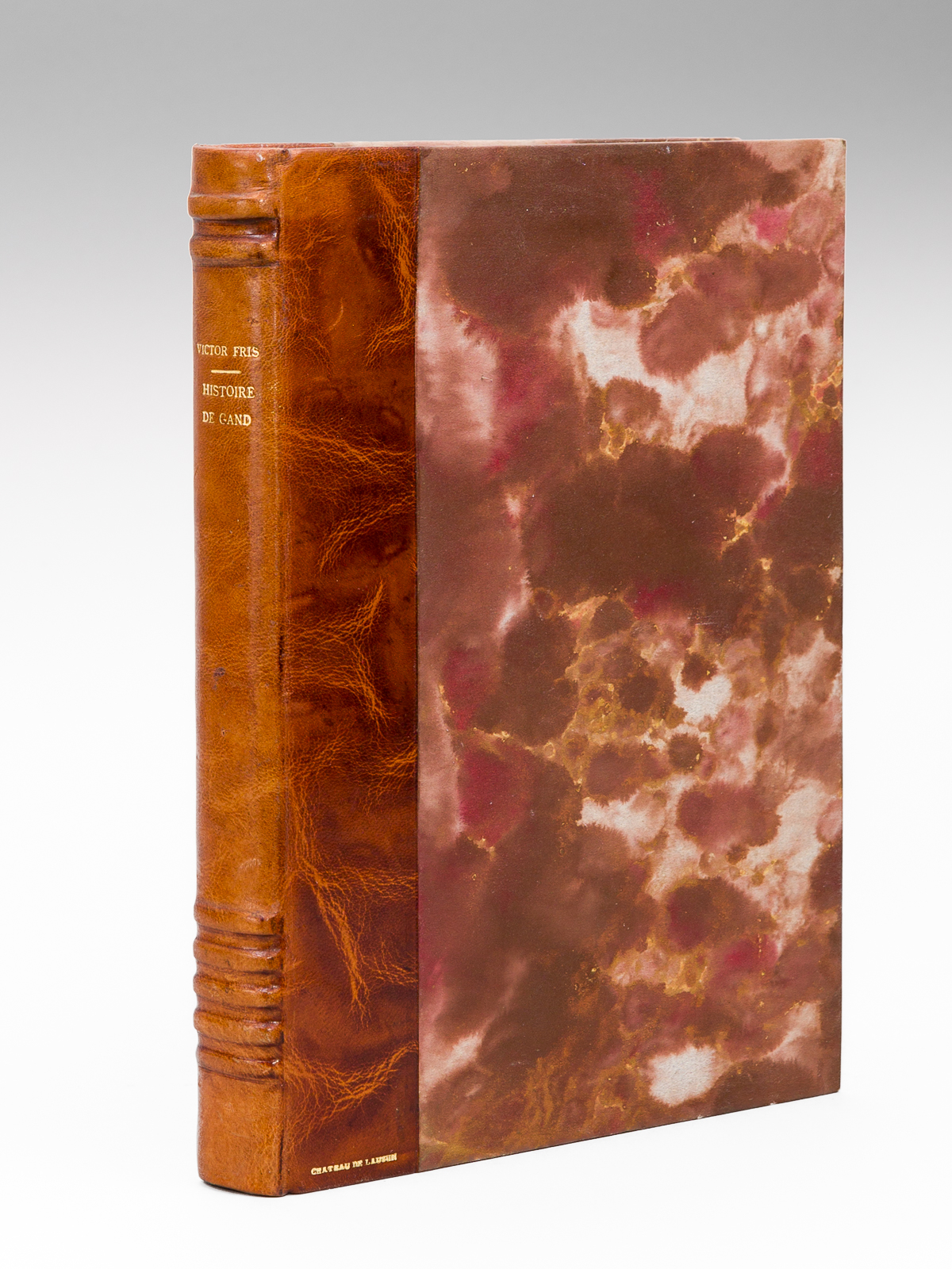 Histoire de Gand depuis les origines jusqu'en 1913