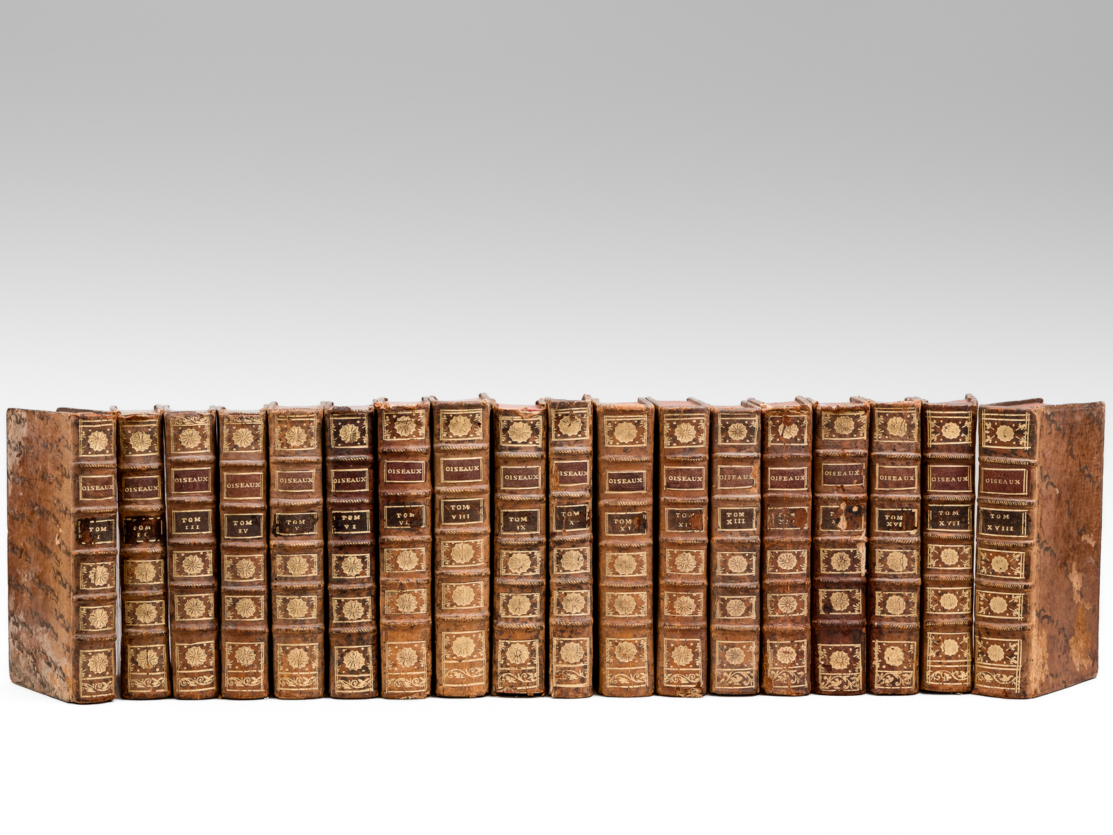 Histoire naturelle des Oiseaux (18 Tomes - Complet)