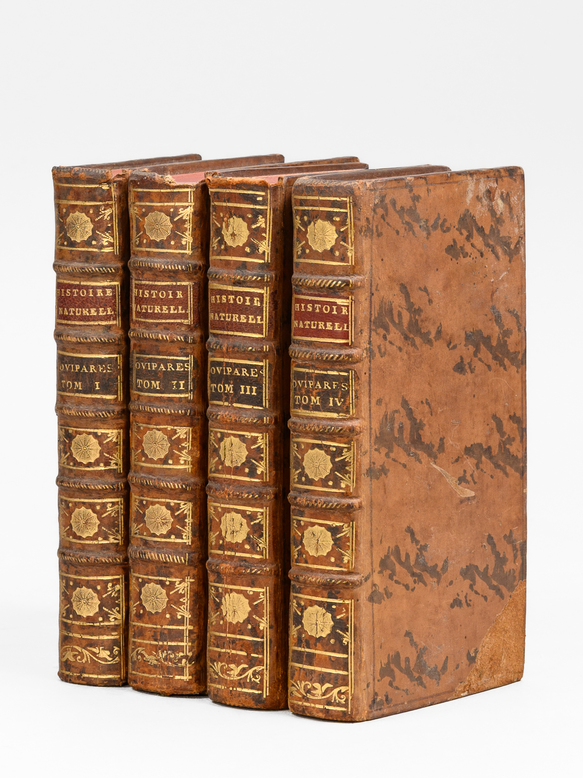 Histoire Naturelle des Quadrupèdes Ovipares et des Serpens (4 Tomes …