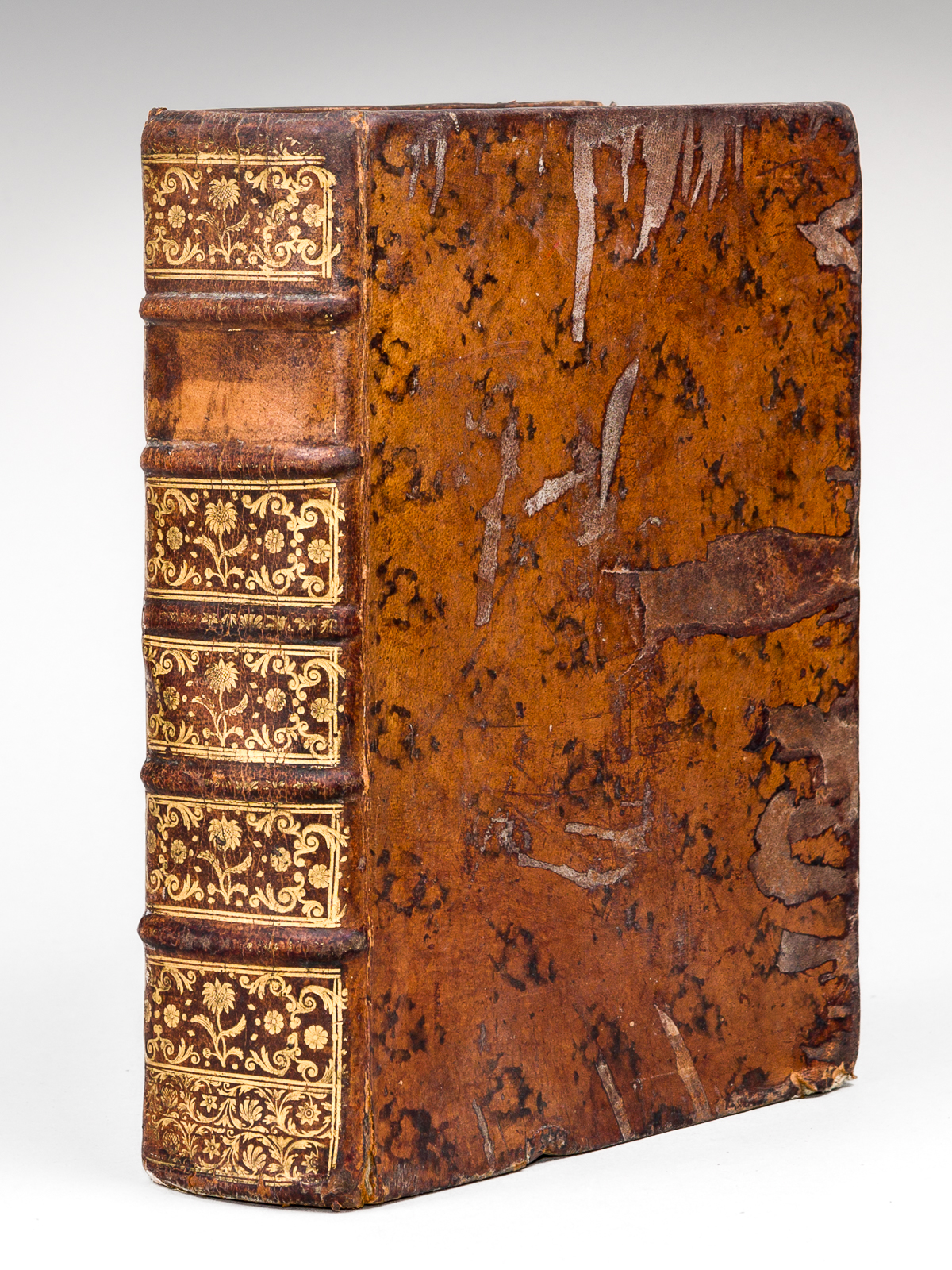 Joannis Schneidewini J.U.D. Clarissimi, Et Professoris quondam Publici ac Celeberrimi, …