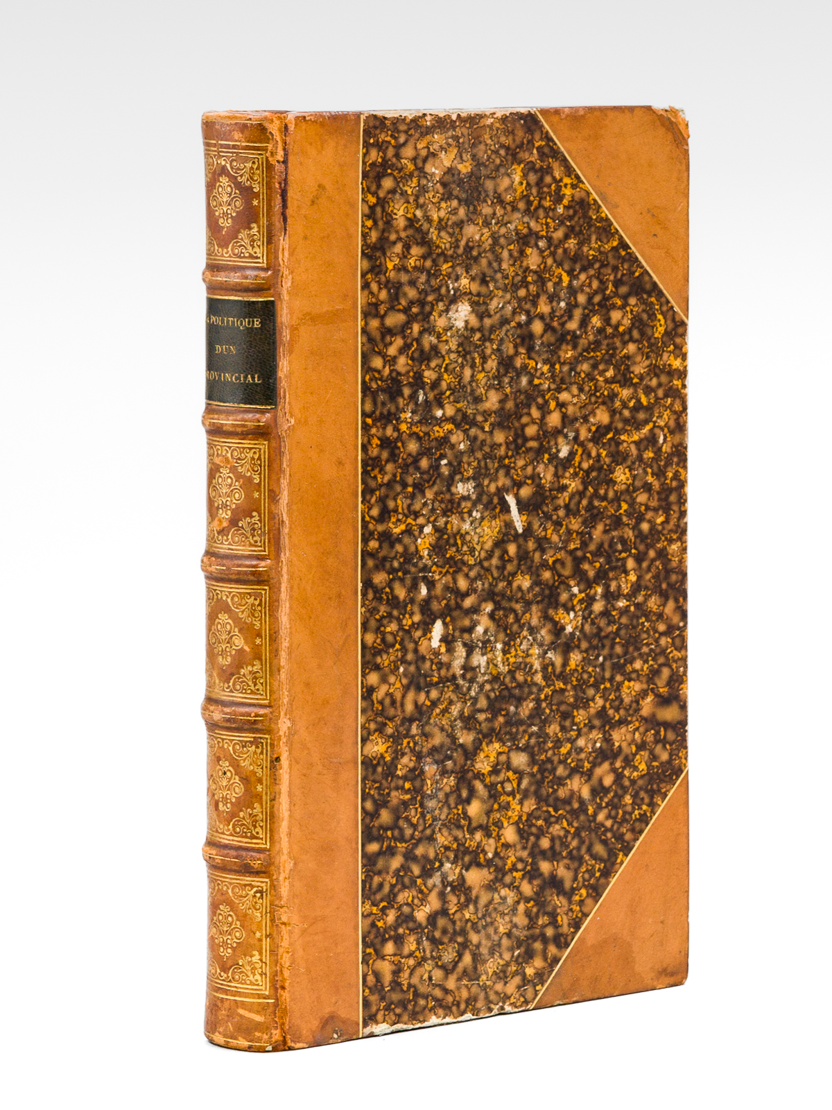 La Politique d'un Provincial. Lettres d'un Oncle à son Neveu …