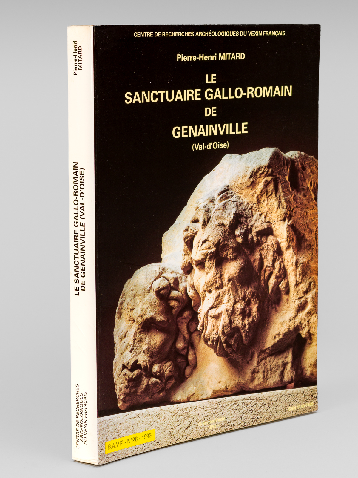 Le sanctuaire gallo-romain de Genainville (Val d'Oise)
