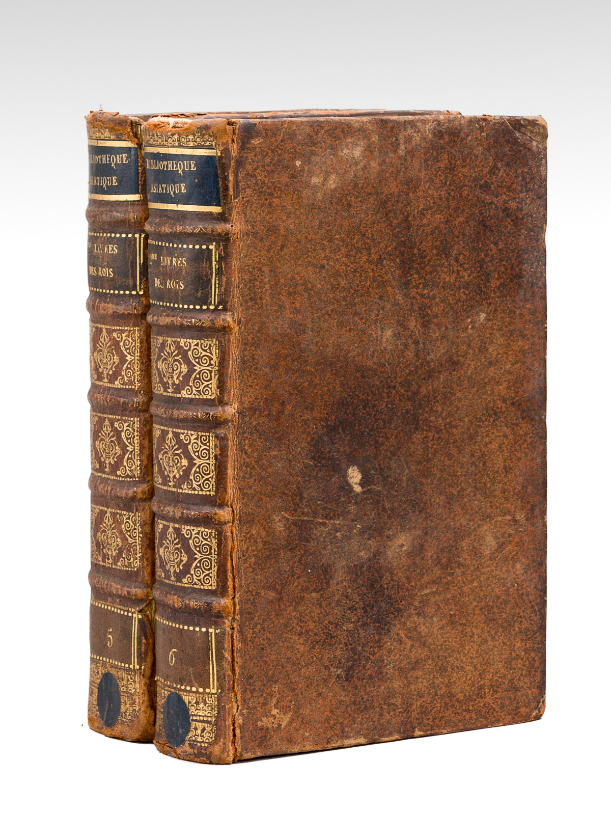 Les Deux Premiers Livres des Rois, traduits en françois avec …