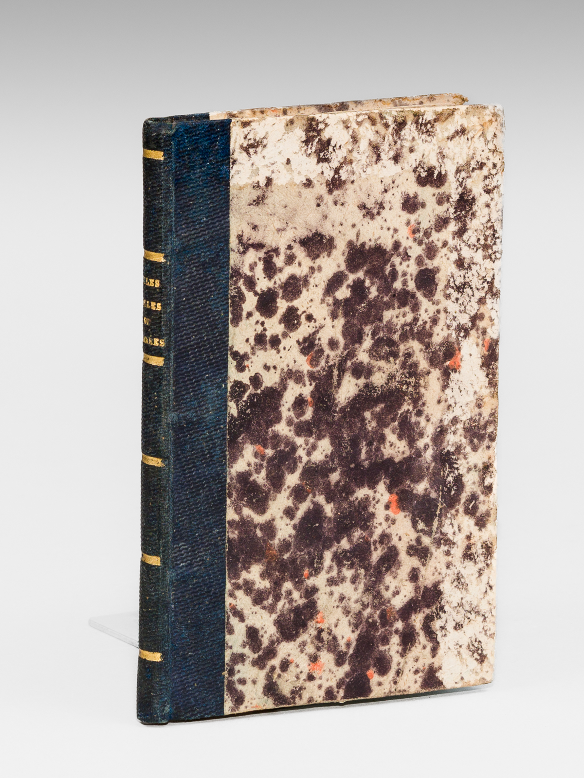 Les Jeunes Filles folles ou égarées, Nouvel aperçu historique, statistique …