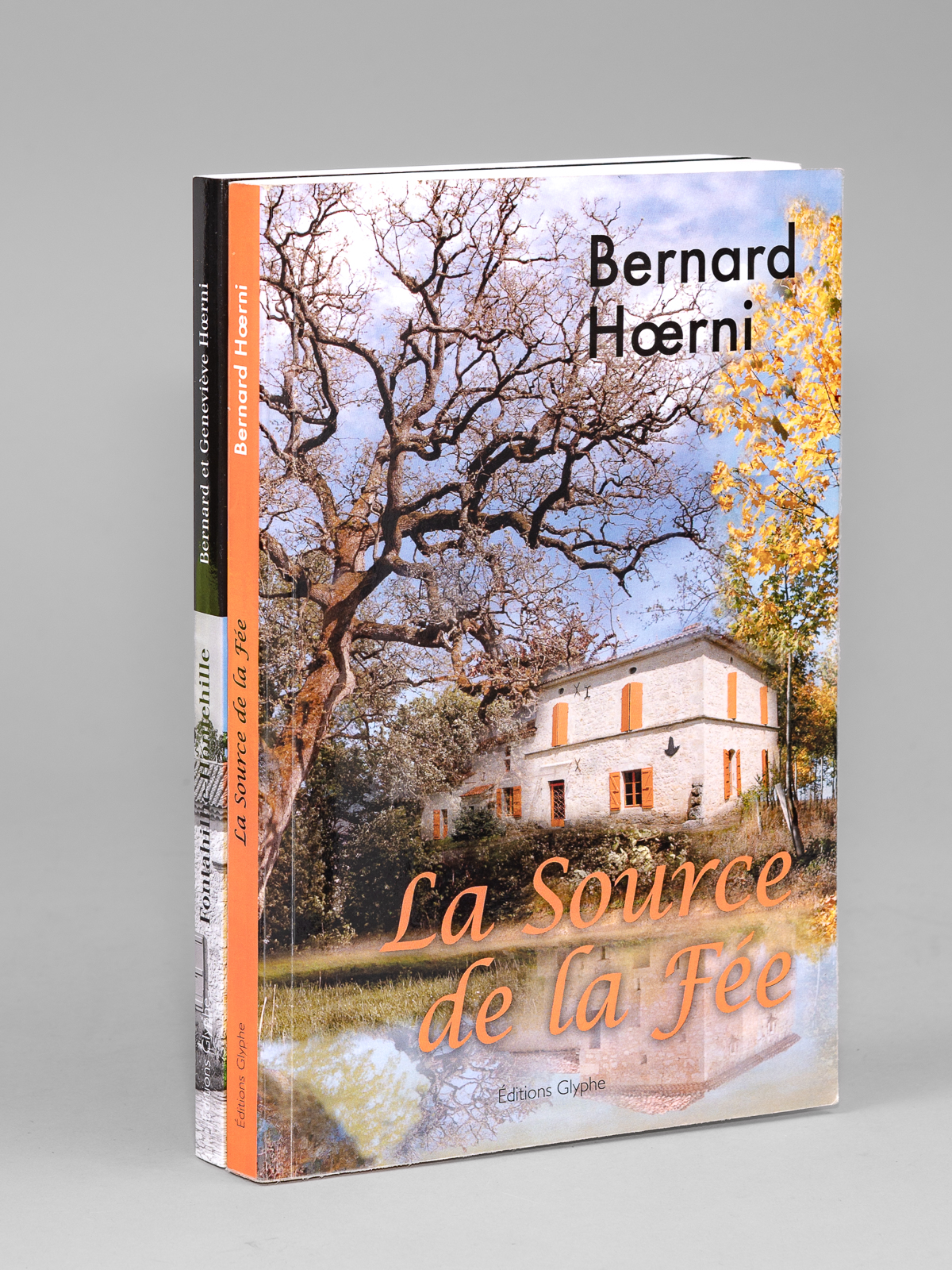 [ Lot de deux livres sur l'Armagnac ] La Source …