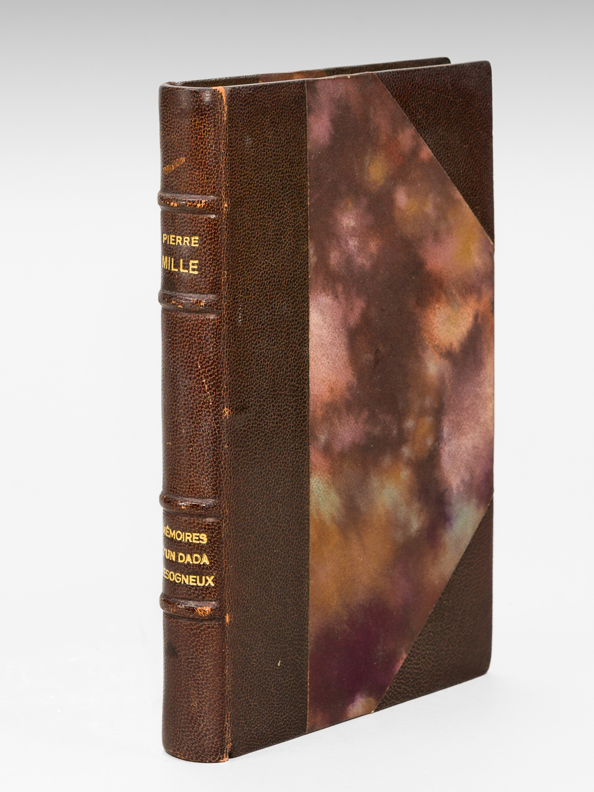 Mémoires d'un Dada besogneux de l'Armistice à 1925 [ Edition …