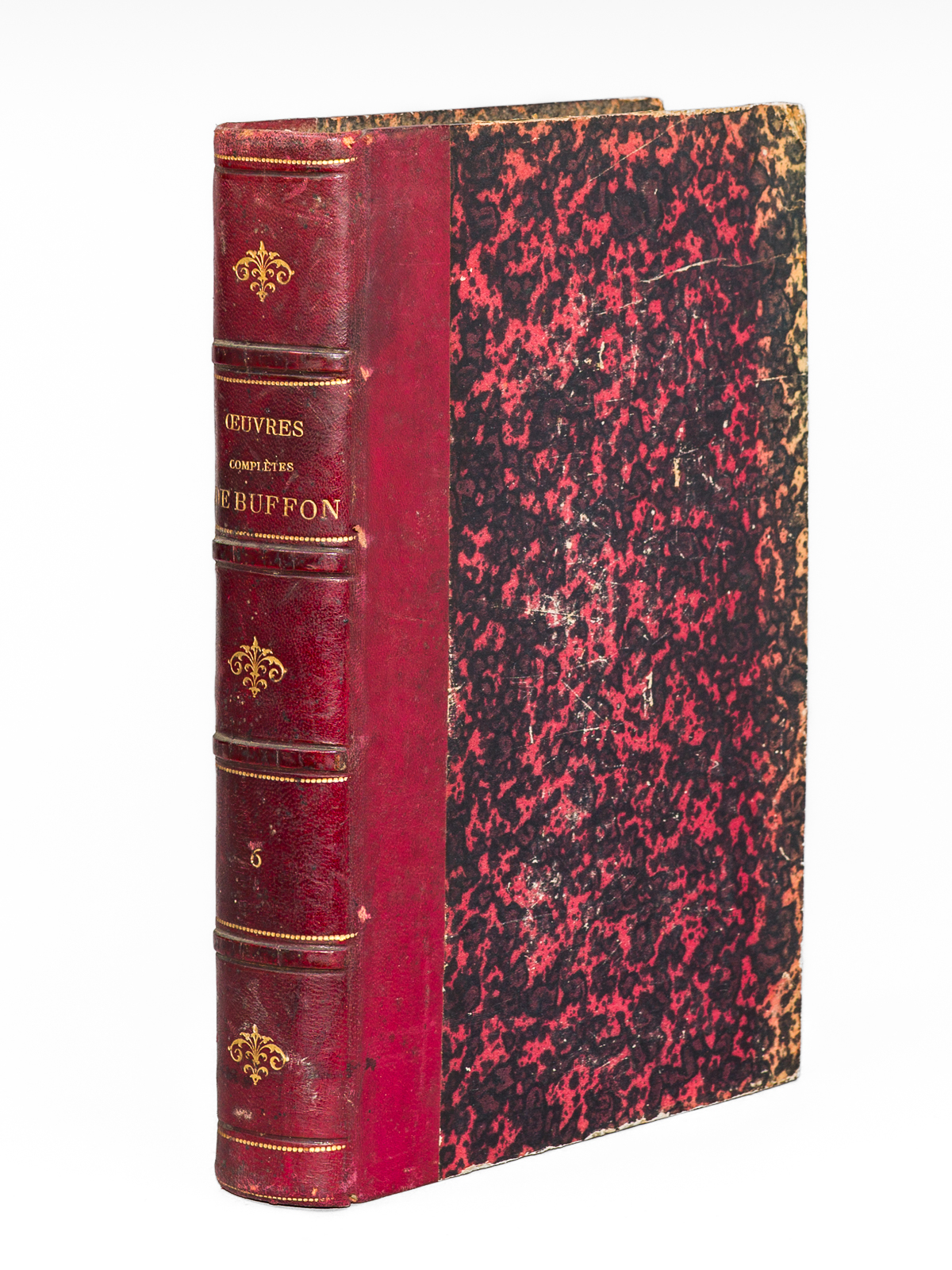 Oeuvres complètes de Buffon. Tome 6 : Les oiseaux