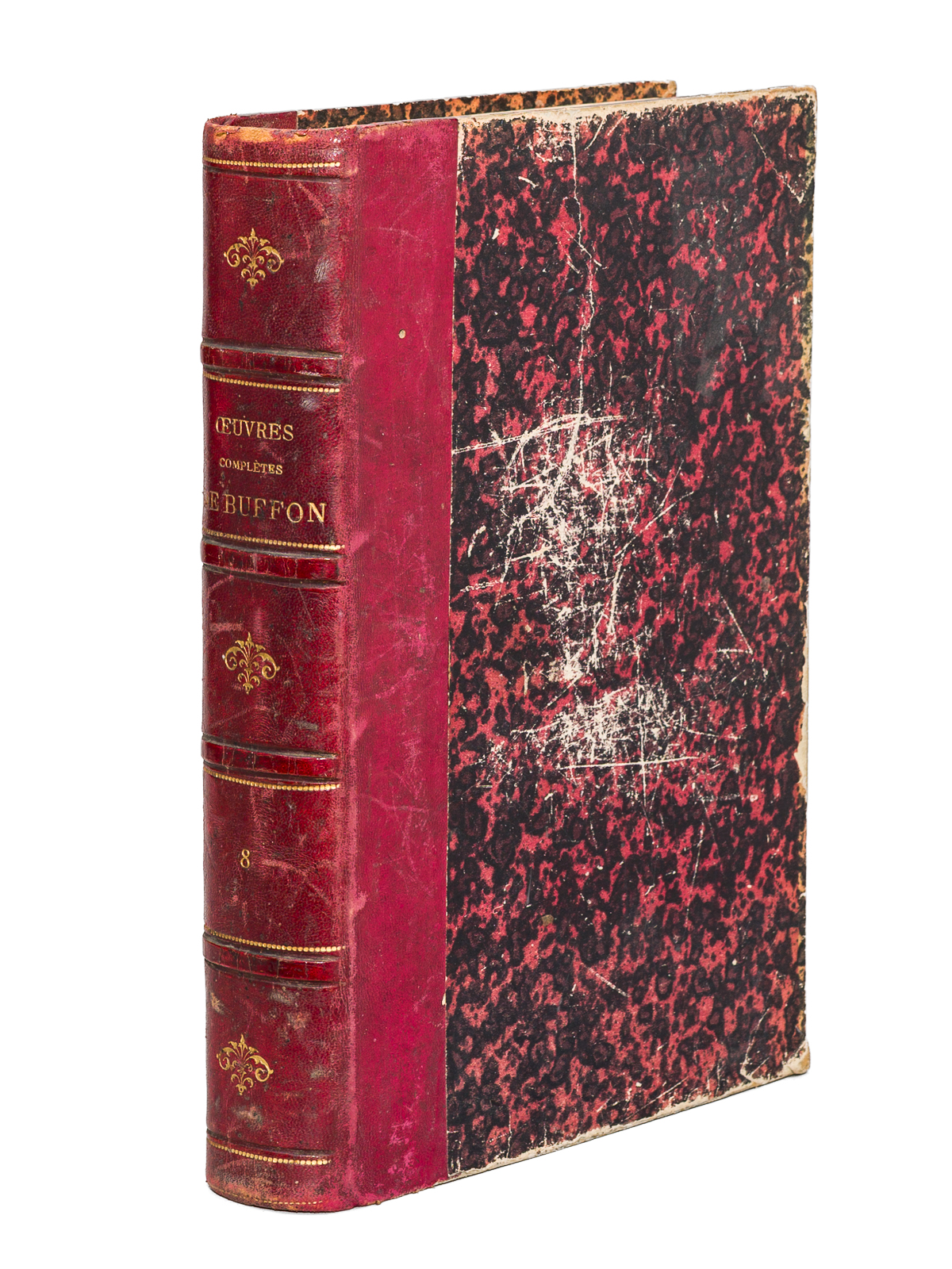 Oeuvres complètes de Buffon. Tome 8 : Les oiseaux