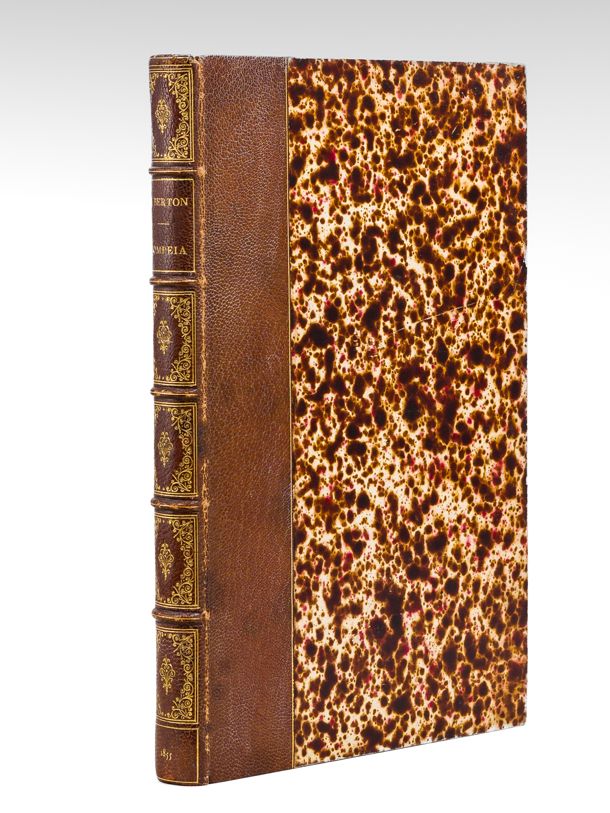 Pompeia décrite et dessinée par Ernest Breton, suivi d'une Notice …