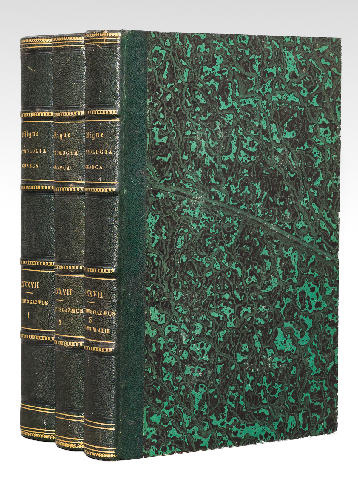 Procopii Gazaei, Christiani rhetoris et hermeneutae, Opera quae reperirir potuerunt …