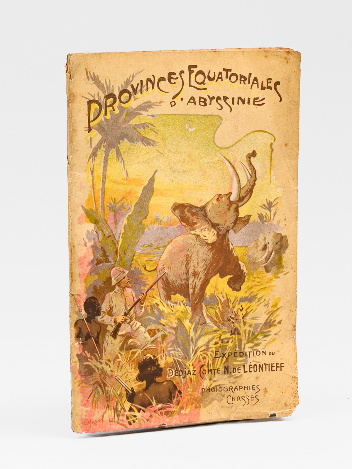 Provinces équatoriales d'Abyssinie. Expédition du Dédjaz Comte N. de Léontieff. …