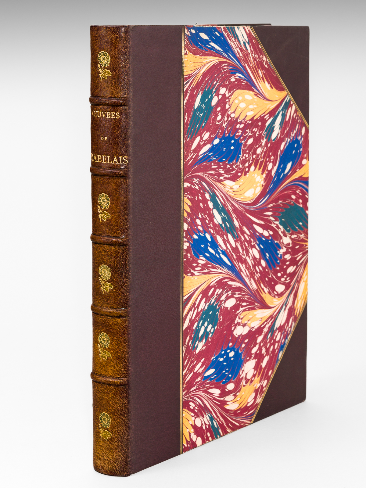 Rabelais et l'Oeuvre de Jules Garnier (Texte seul) [ Contient …