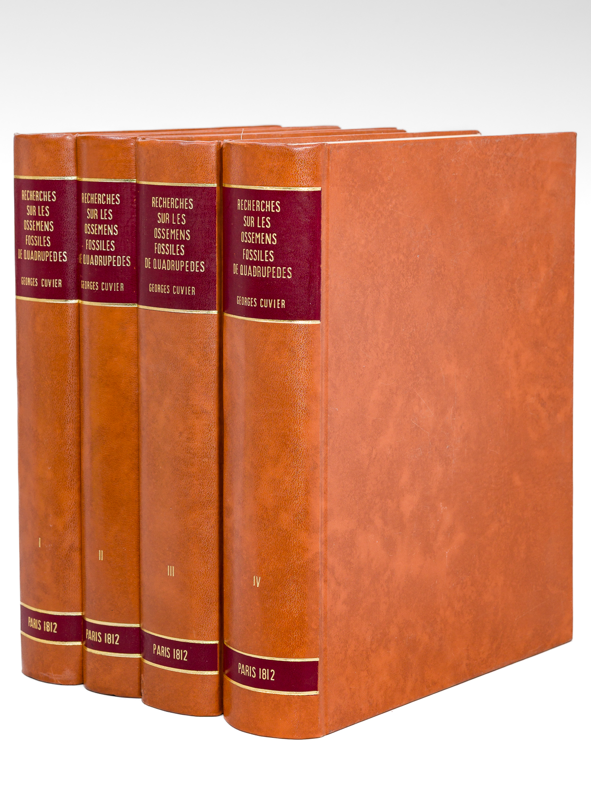 Recherches sur les Ossemens Fossiles de Quadrupèdes, où l'on rétablit …