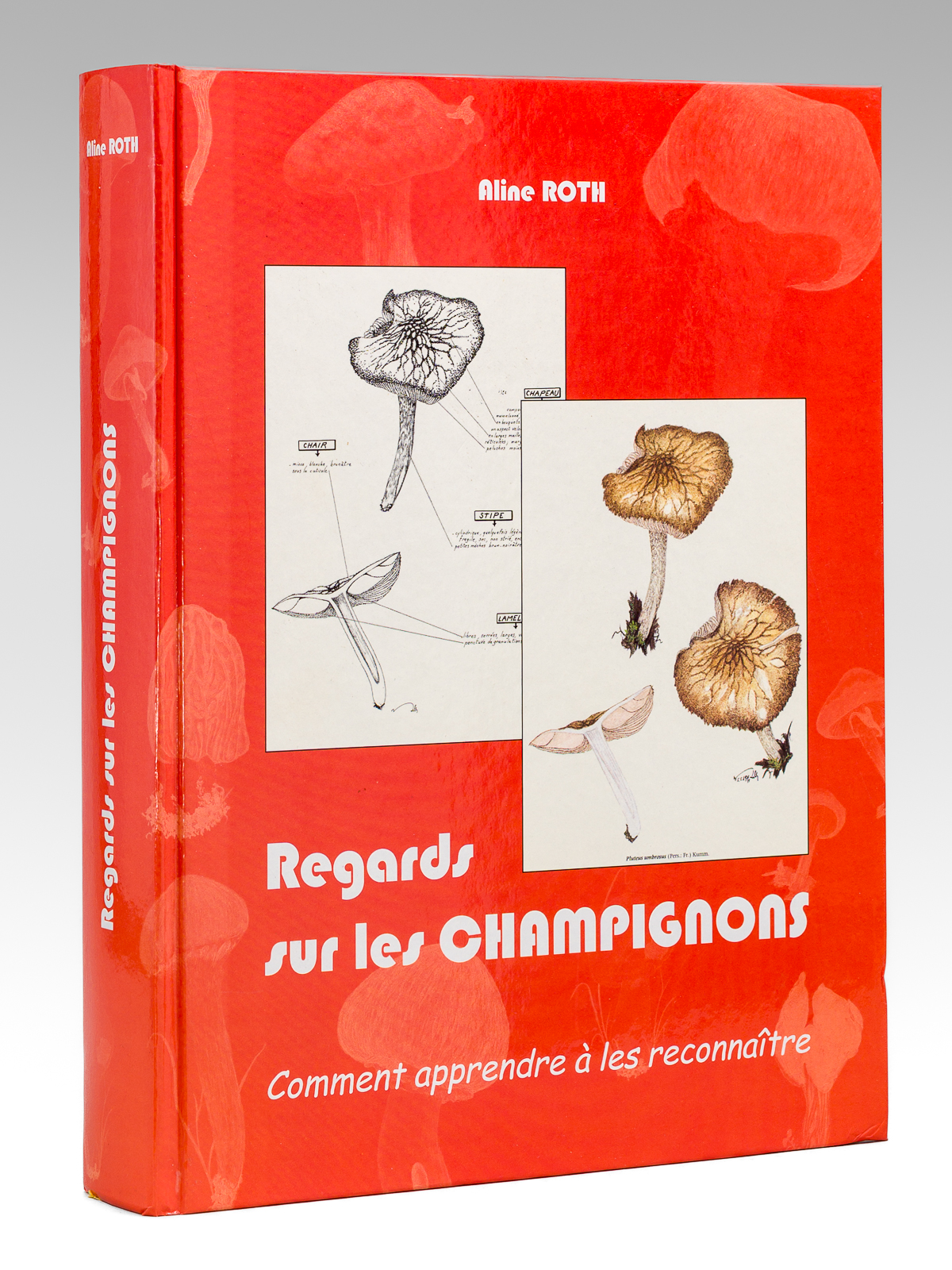 Regards sur les Champignons. Comment apprendre à les reconnaître.