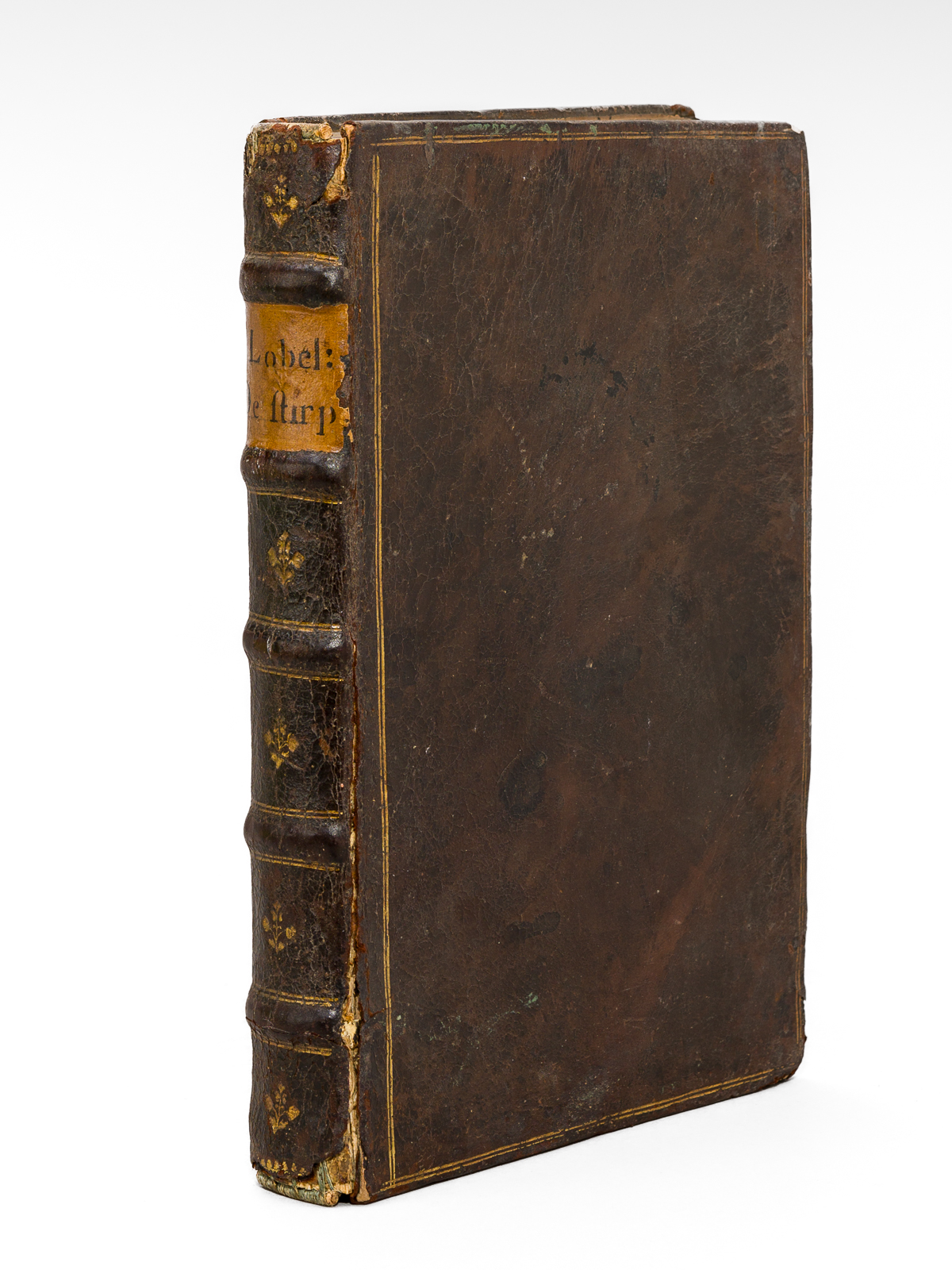 Stirpium Adversaria Nova, perfacilis vestigatio, luculentaque accessio ad Priscorum, presertim …