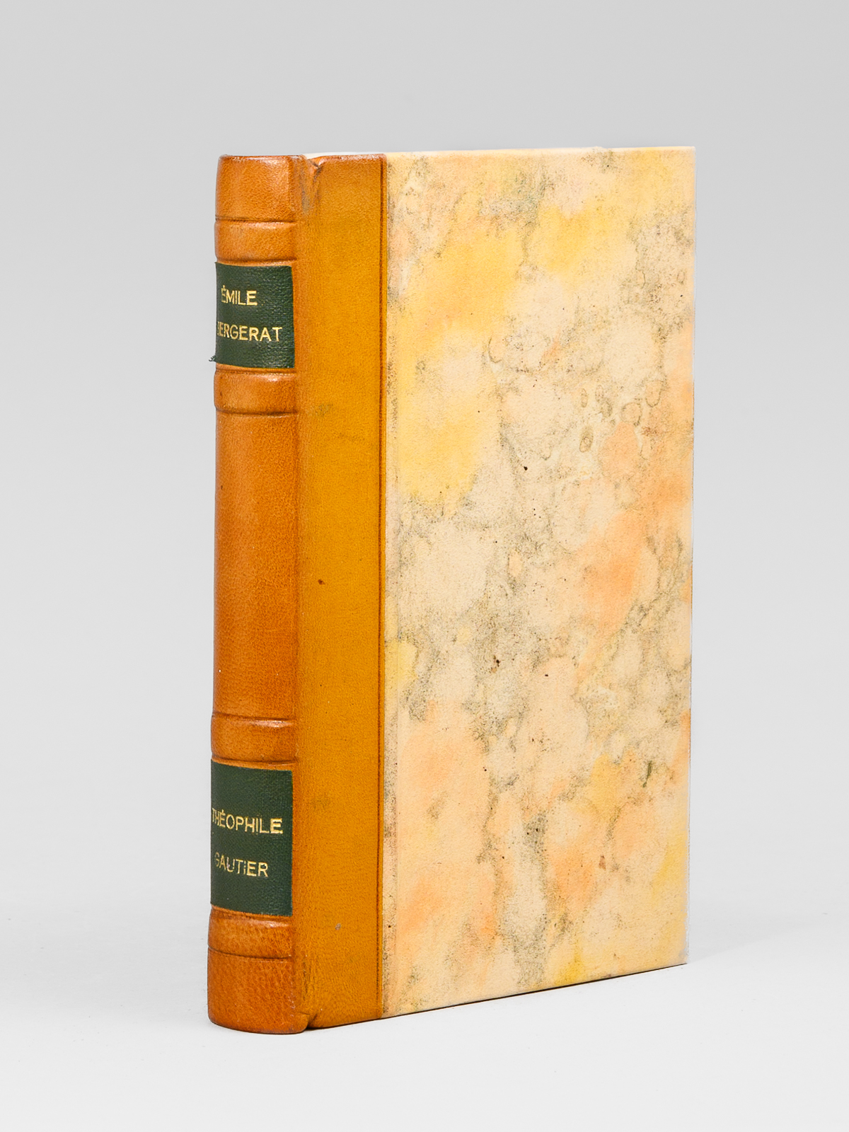 Théophile Gautier. Entretiens, souvenirs et correspondance.