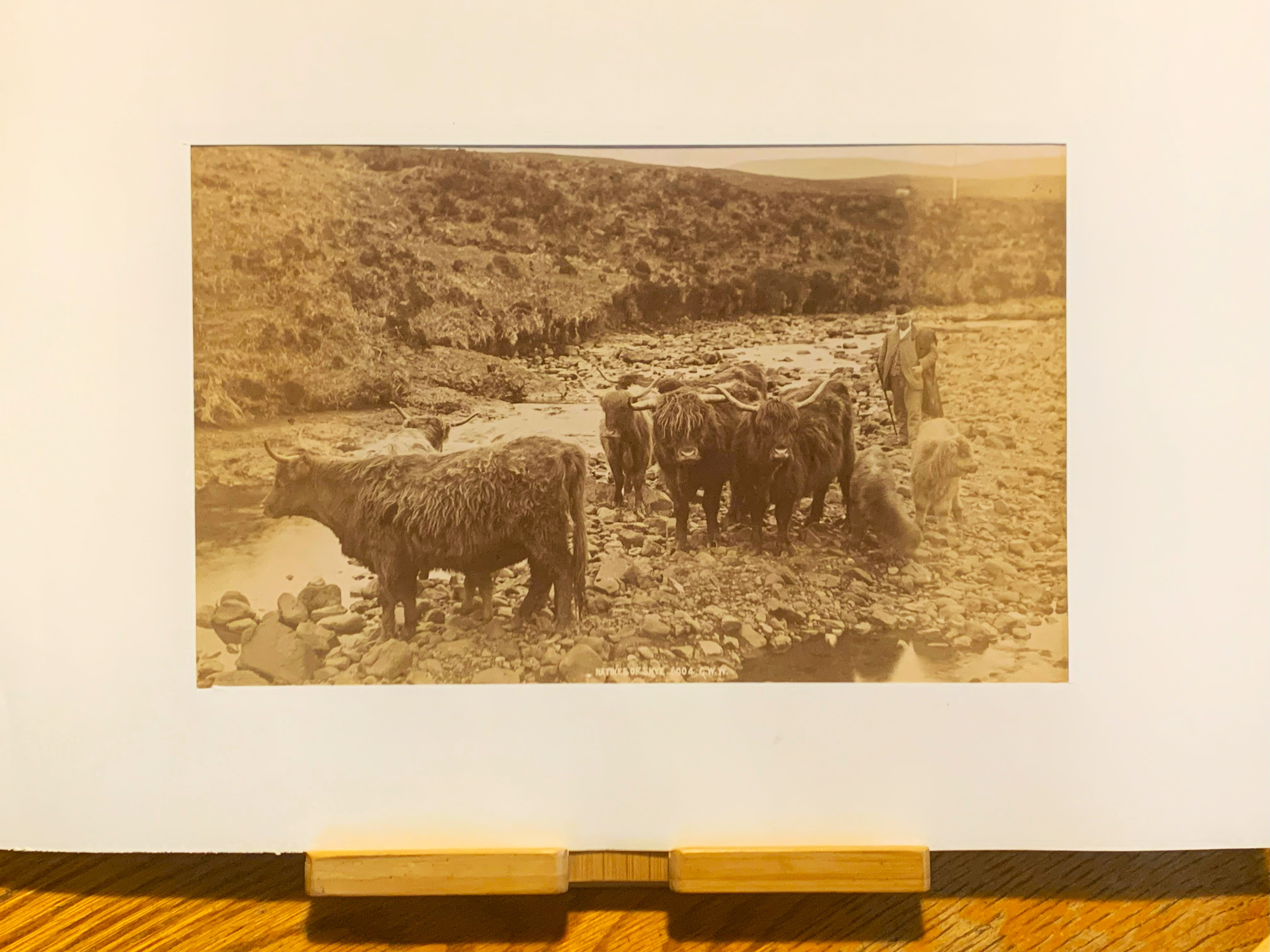 Albumina originale Natives of SKYE