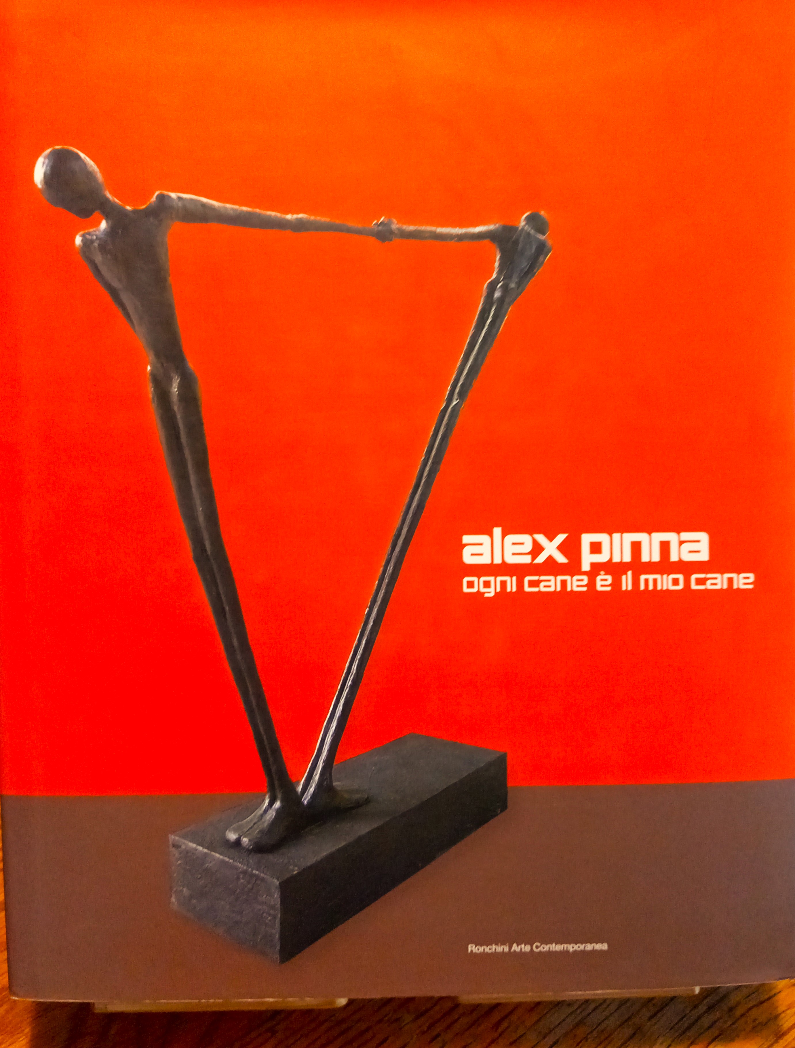 Alex Pinna - Ogni cane è il mio cane