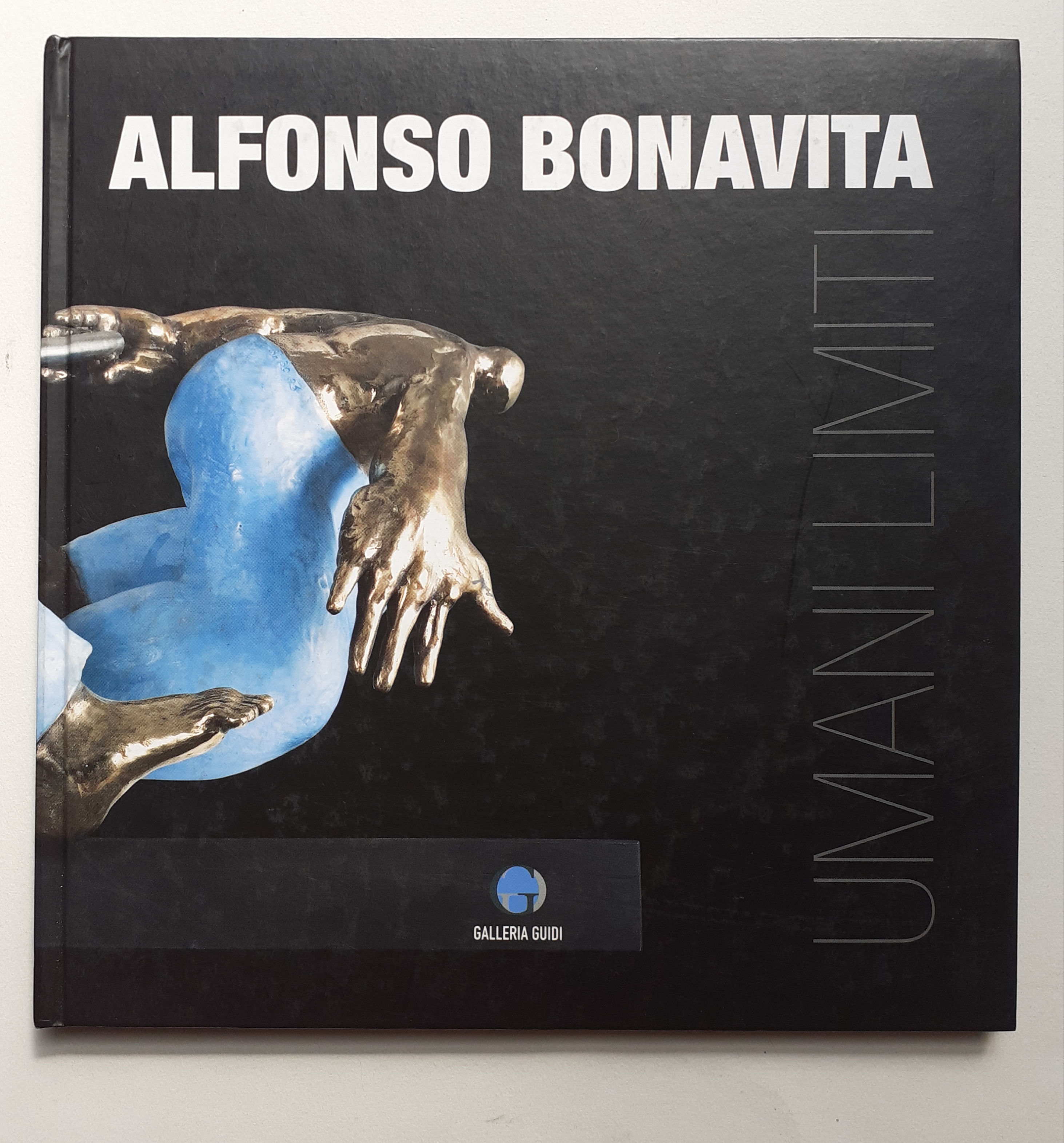 Alfonso Bonavita catalogo Galleria Guidi Genova 2008