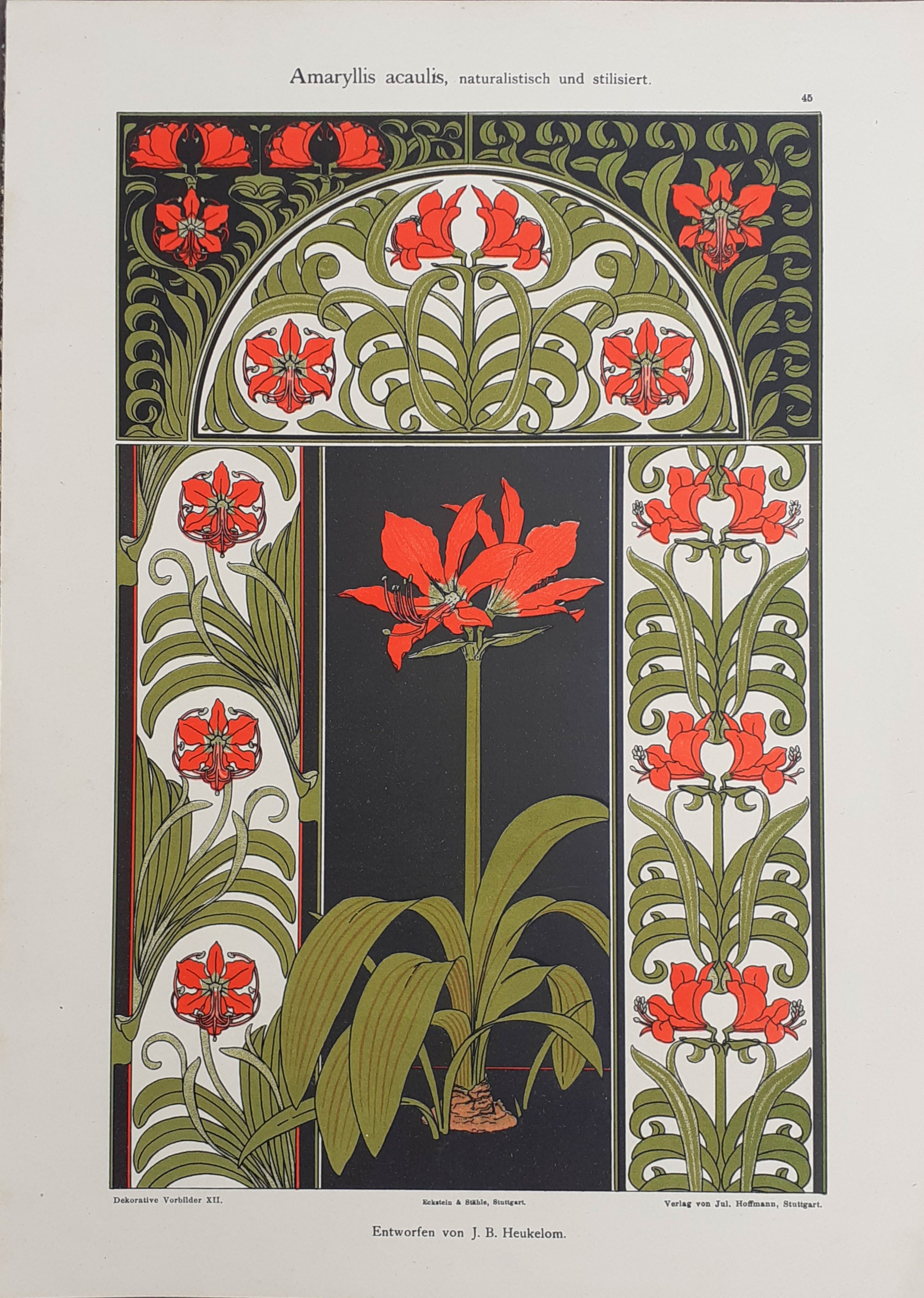 Amaryllis acaulis stampa tratta da Dekorative Vorbilder XII 1899/1900
