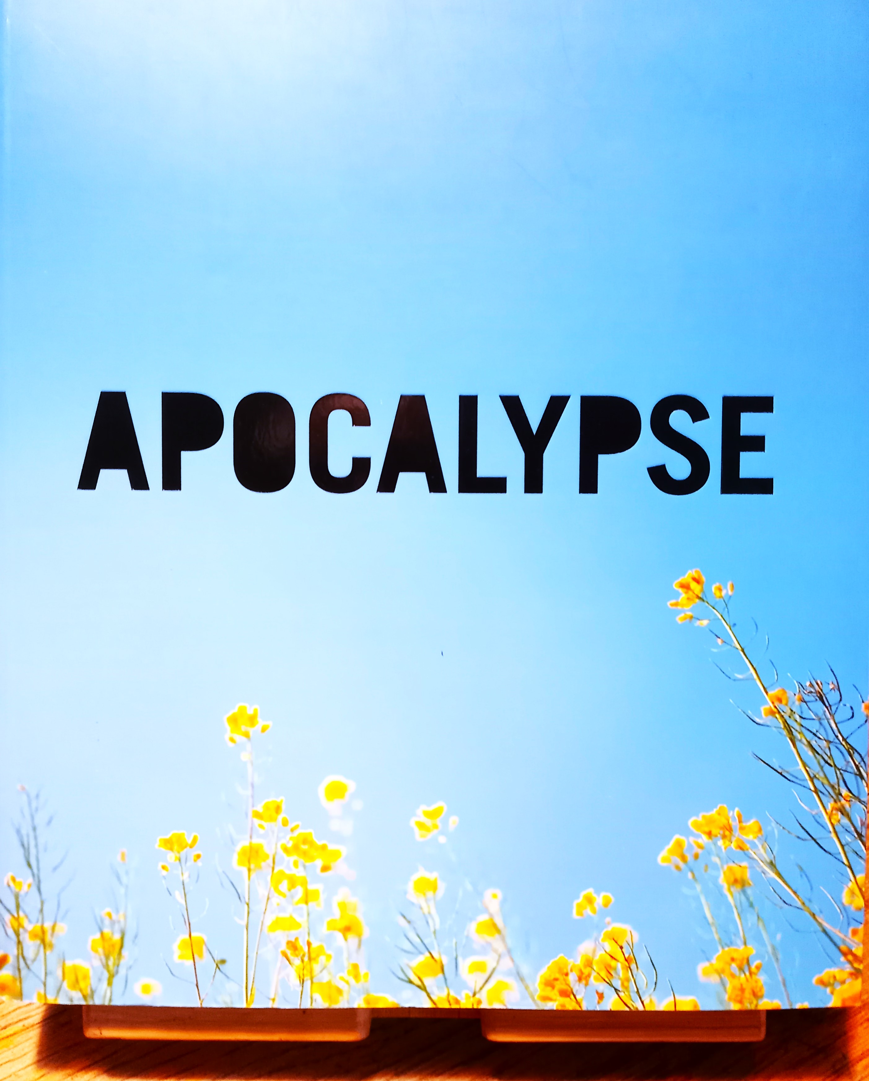 APOCALYPSE Beauty and horror in contemporary art