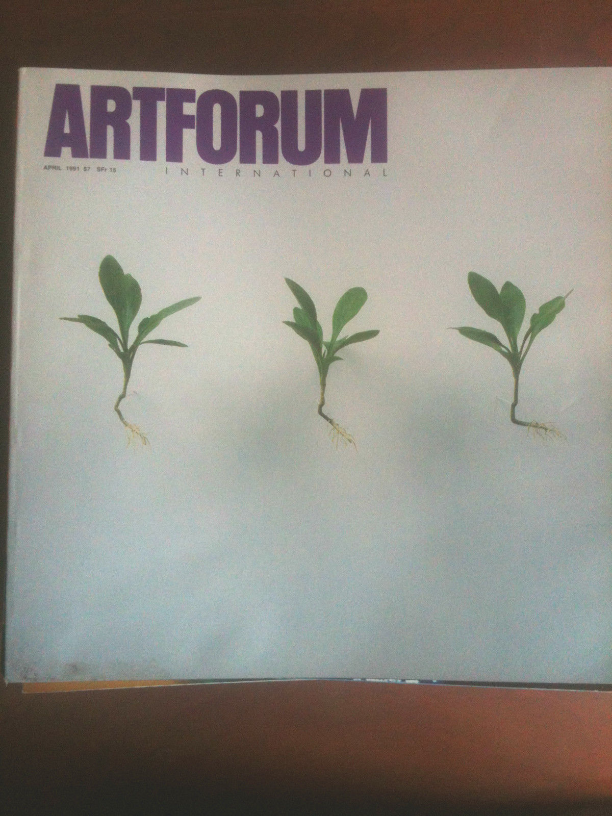 Artforum April 1991 Cover: Vincent Shine