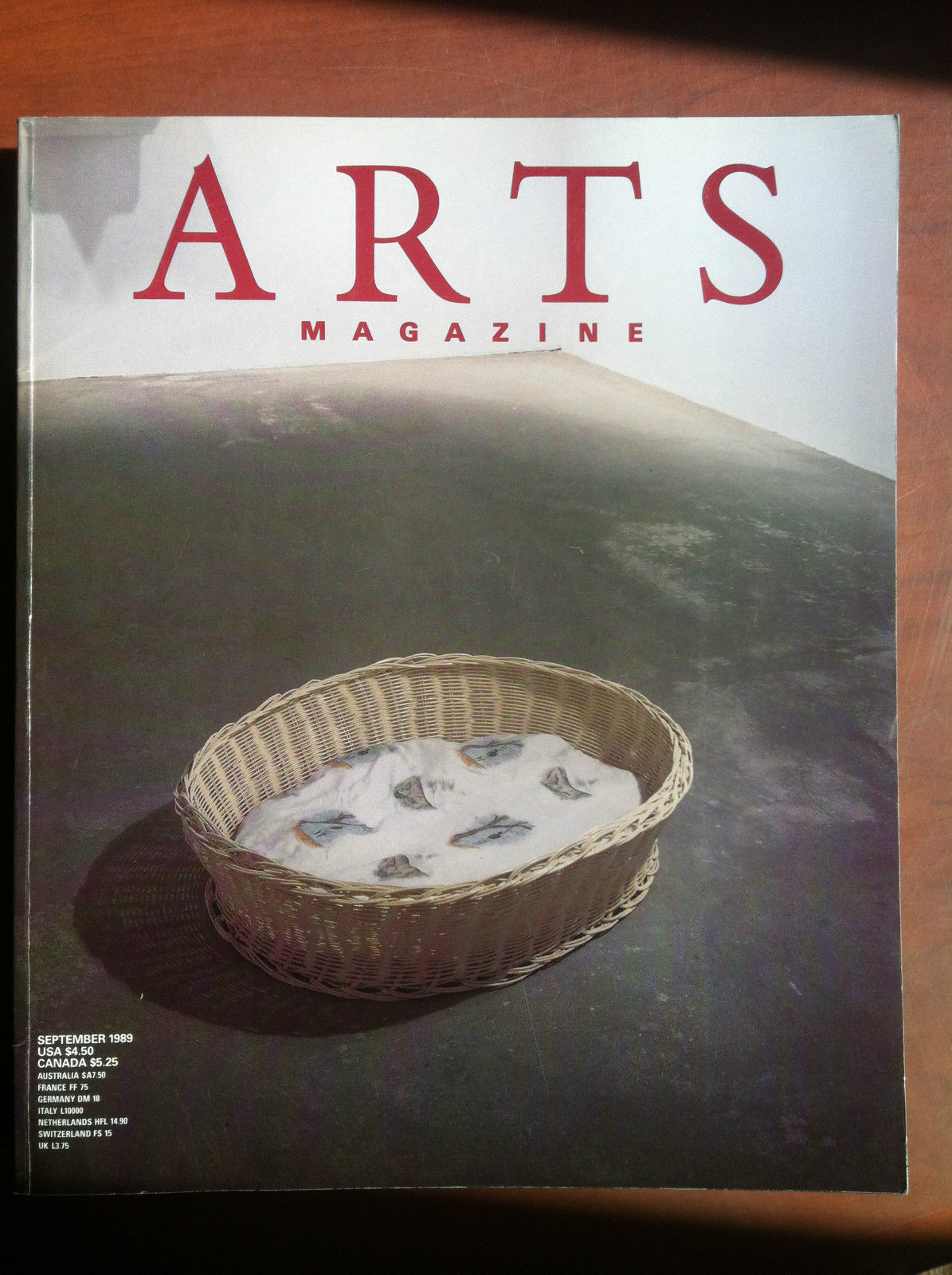 Arts Magazine September 1989 Cover: Robert Gober