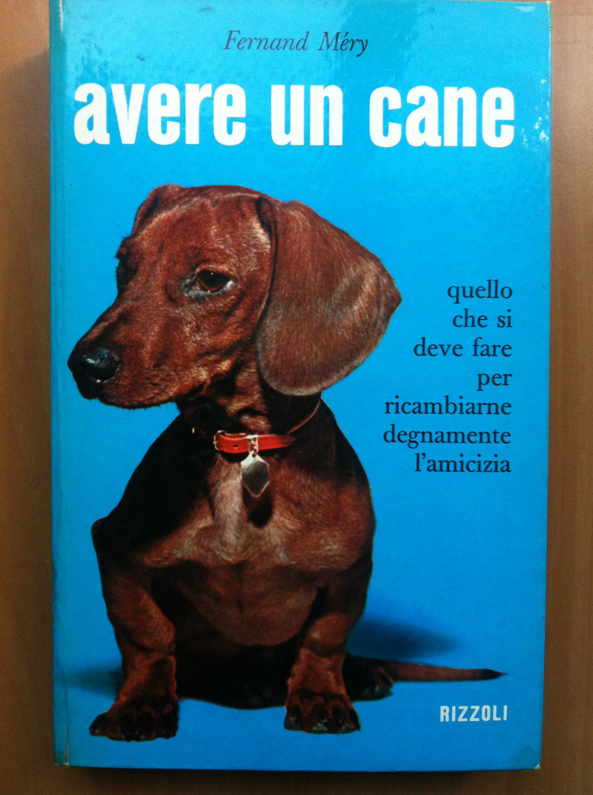 Avere un cane Fernand Méry Rizzoli 1959 - E14106