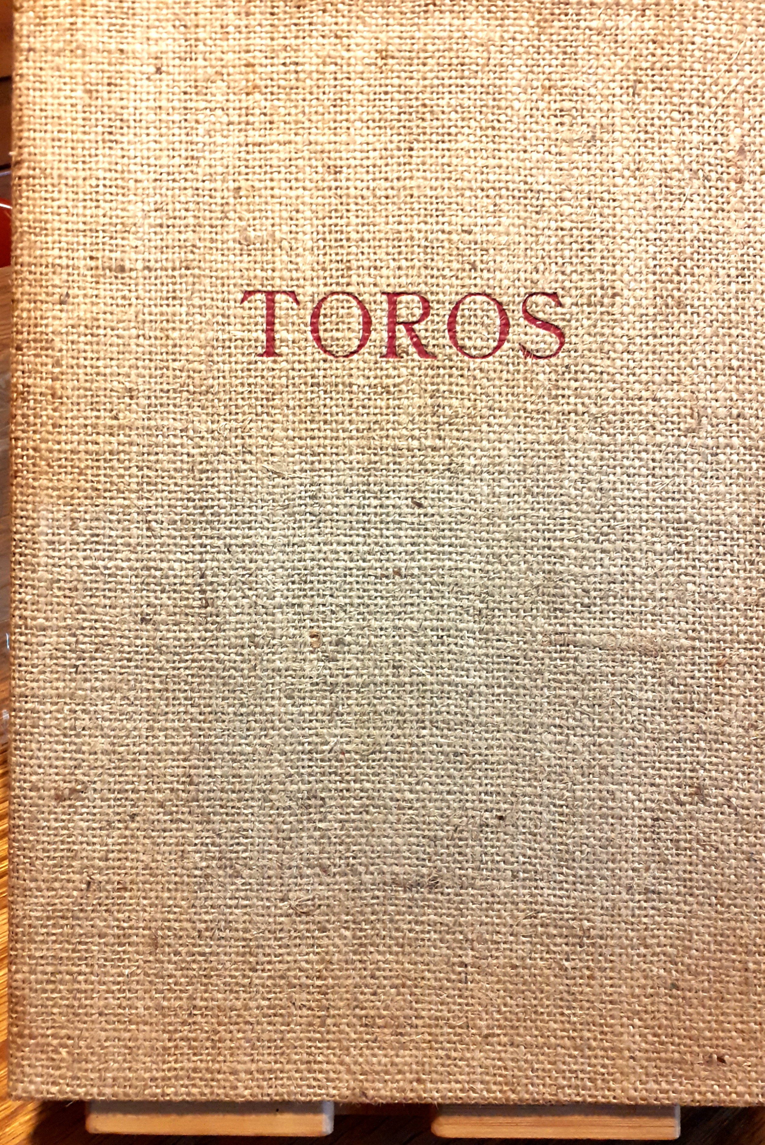 Bastos TOROS