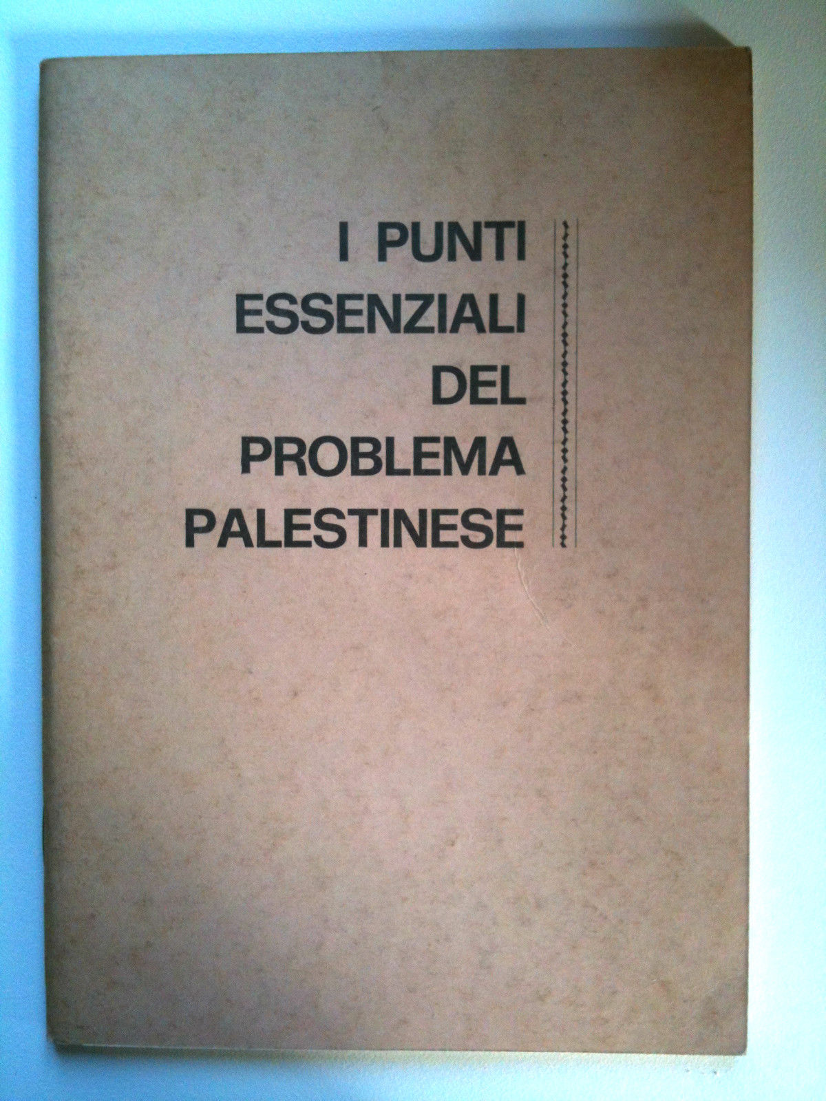 Brossura "I punti essenziali del problema Palestinese" 1974 Roma