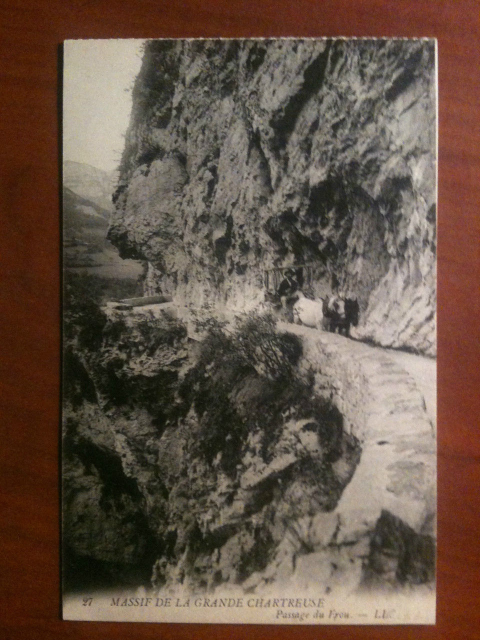 Cartolina/Carte postale inizi '900 Massif de la Grande Chartreuse - …