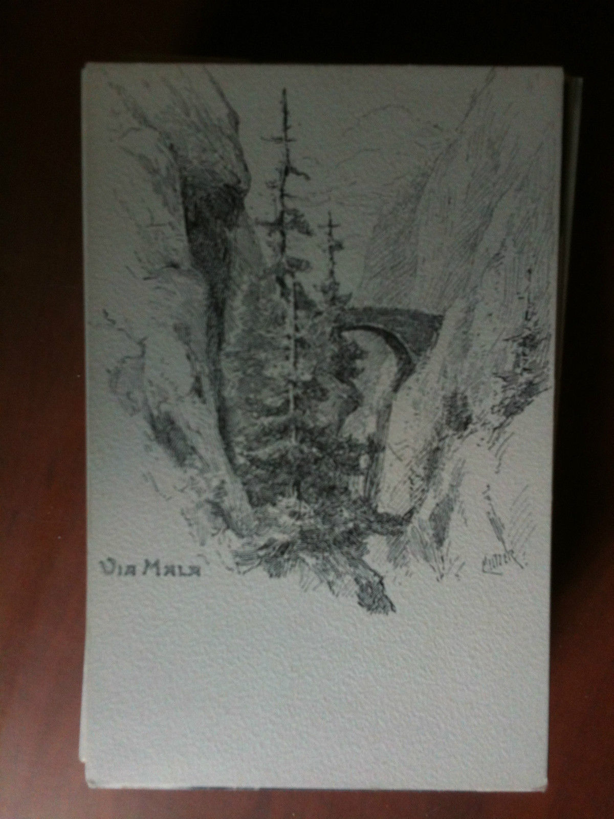 Cartolina/Carte postale inizi '900 Suisse Via Mala - non viaggata